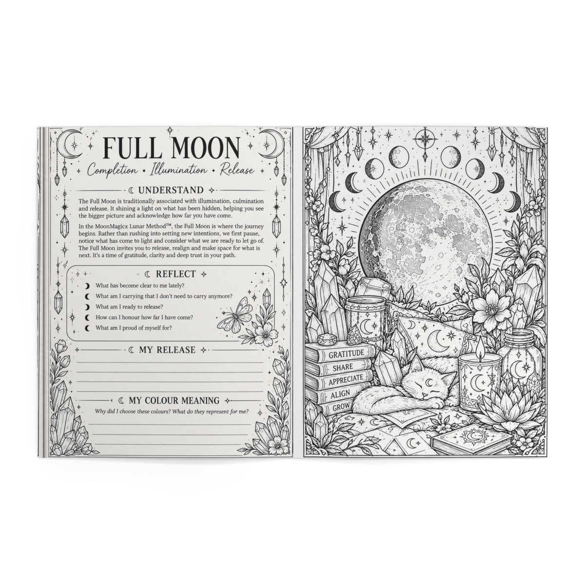 MoonMagicx: The Colour & Reflect Journey