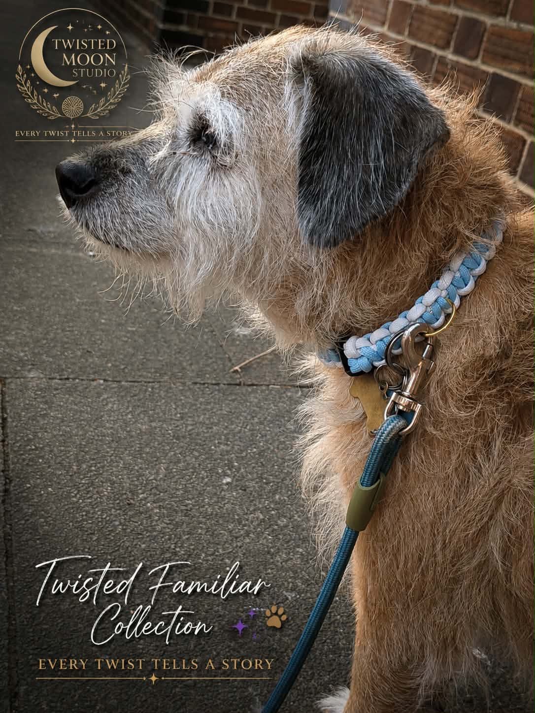 Twisted Familiar Collection