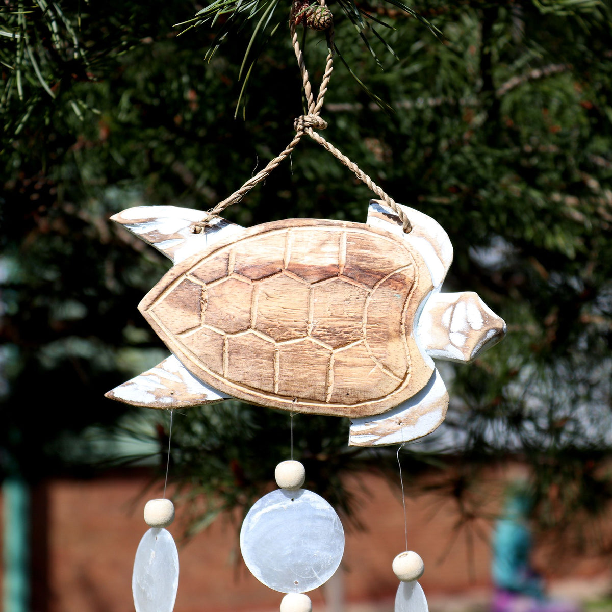Whitewash Turtle Carving and Natural Copis Drop