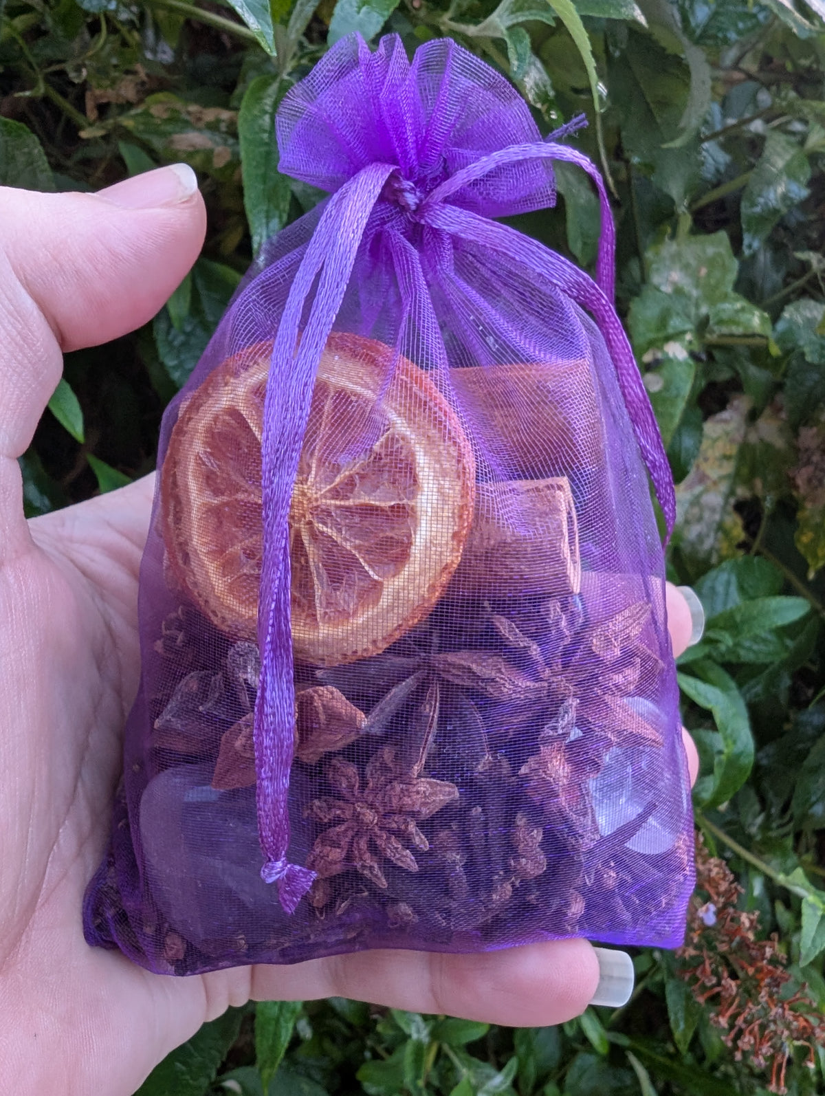 Samhain Intention Bag – Limited Edition | Moonlight Sanctuary